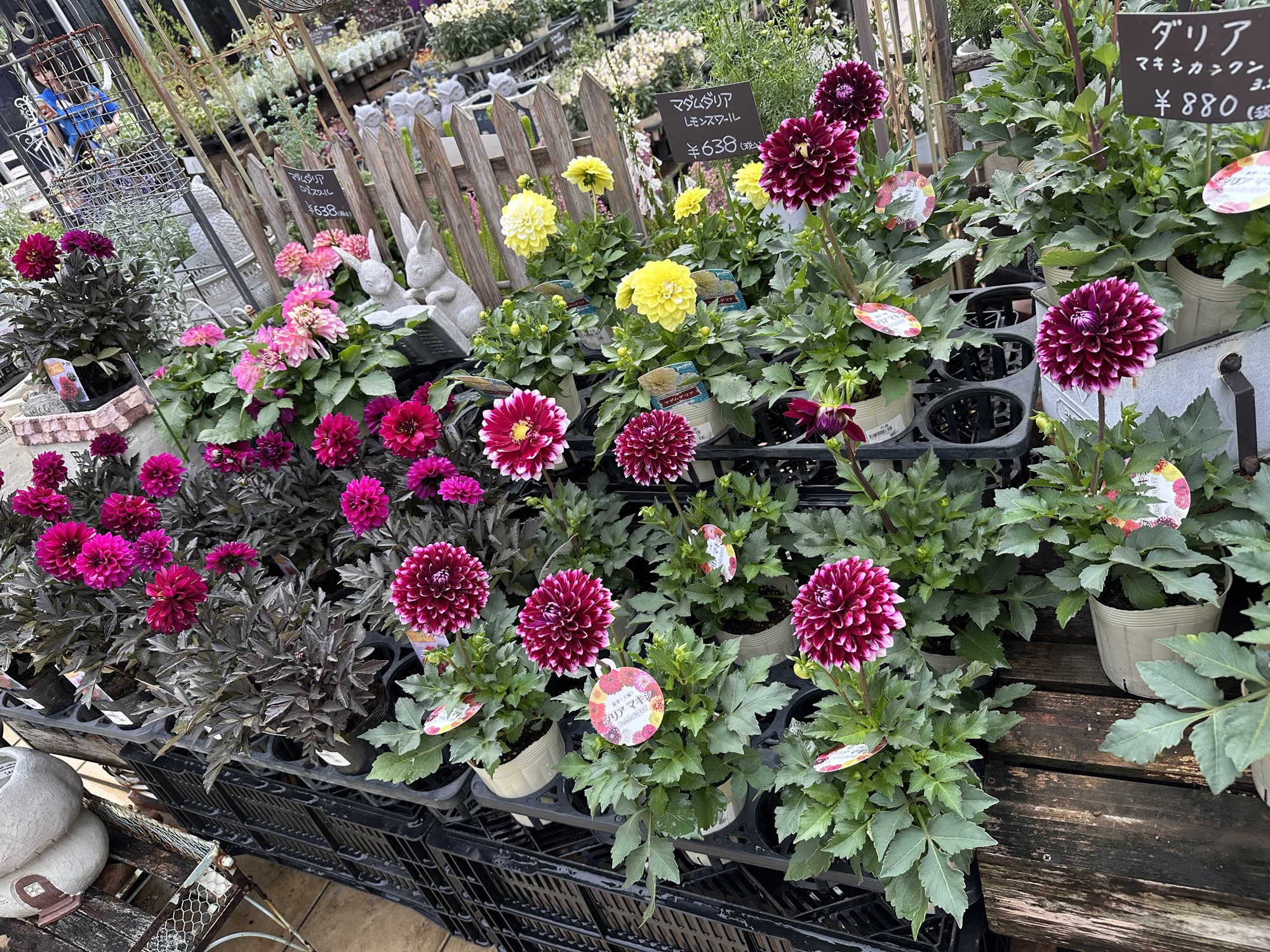 習慣が波動をつくる。毎日 小さな魔法を取り入れよう✨️